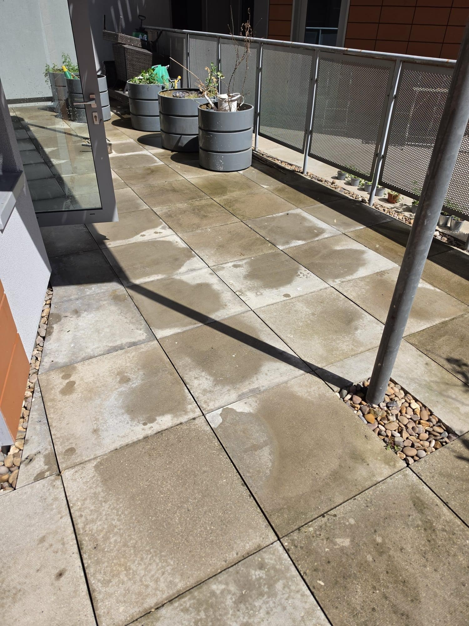 Property inspection