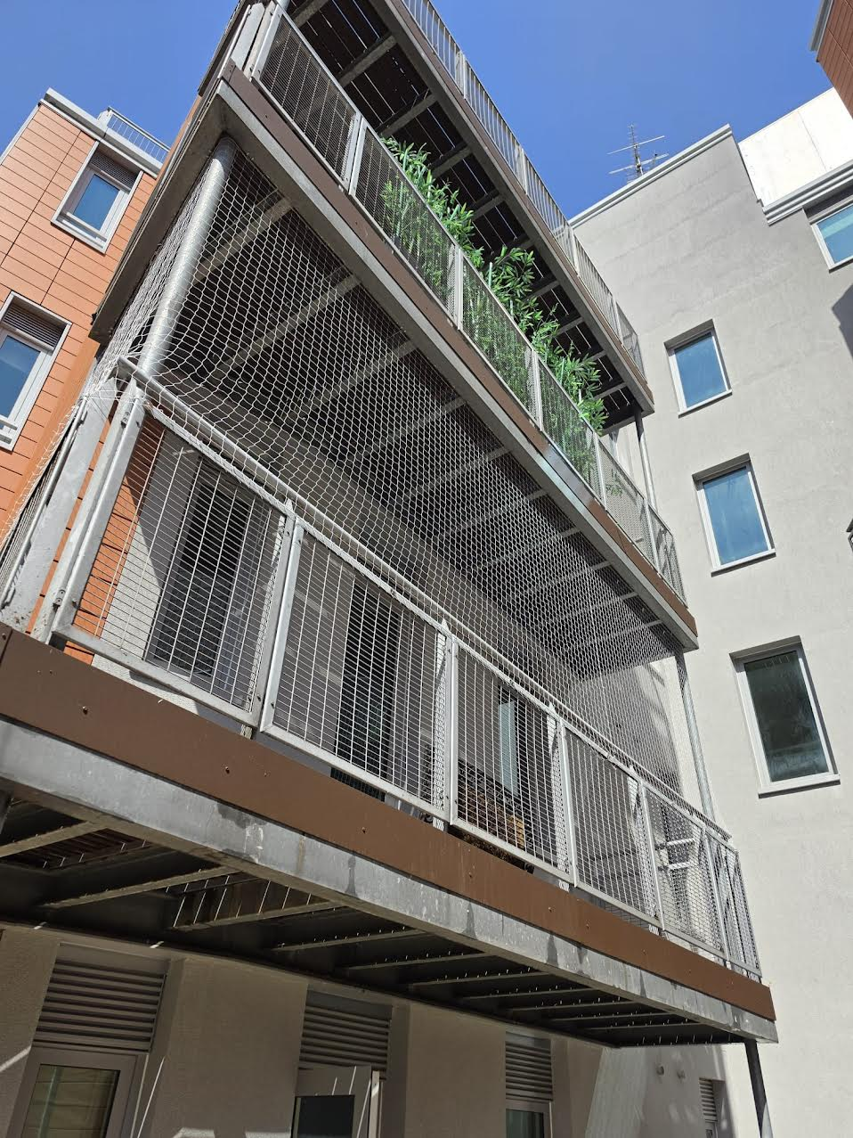 Bird proofing installation
